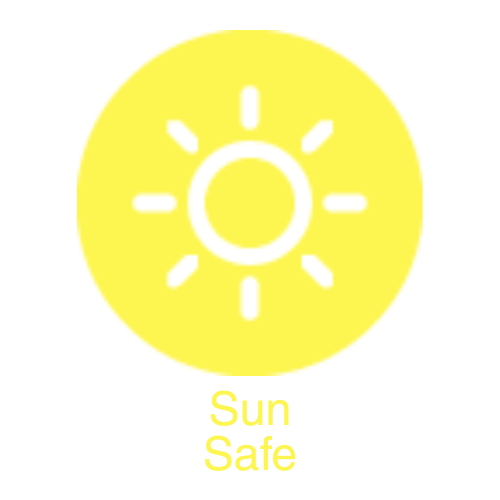 Sun Icon